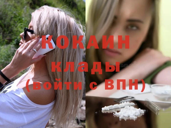 стаф Арсеньев