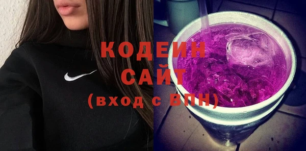 стаф Арсеньев