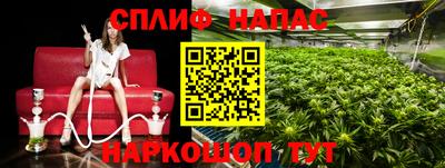 СК Бузулук