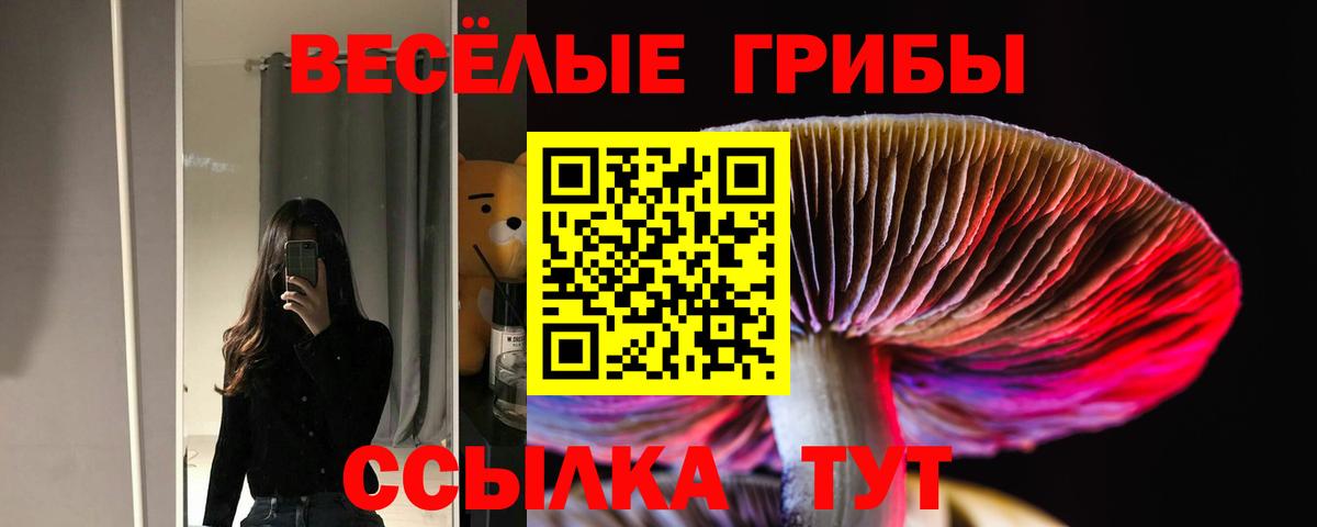Галлюциногенные грибы Psilocybine cubensis Пушкино